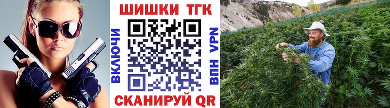 ссылка на мегу tor  Вятские Поляны  Канабис план  купить наркотики сайты 